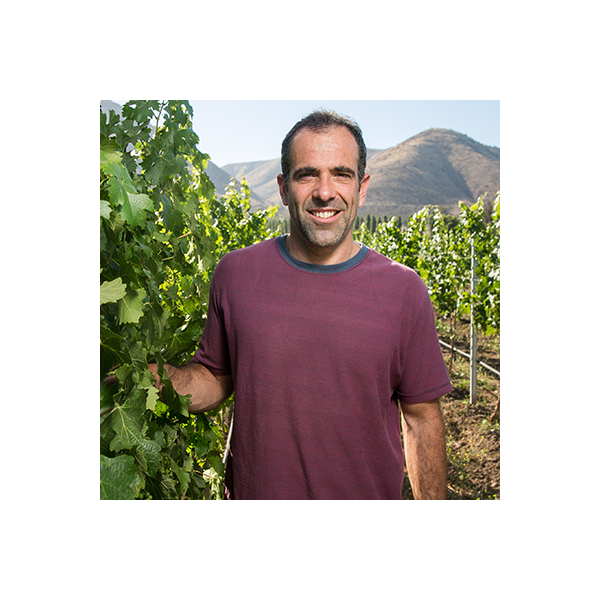 Winemaker Sebastián Labbé 